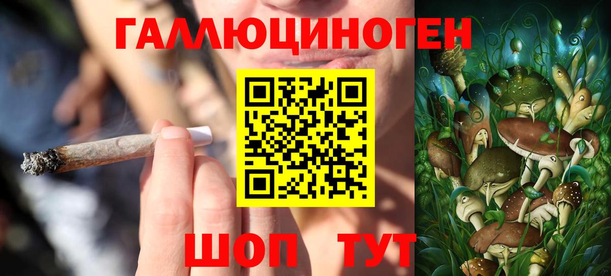 Славянск-на-Кубани  Галлюциногенные грибы мухоморы  Галлюциногенные грибы прущие грибы  Вход с VPN 